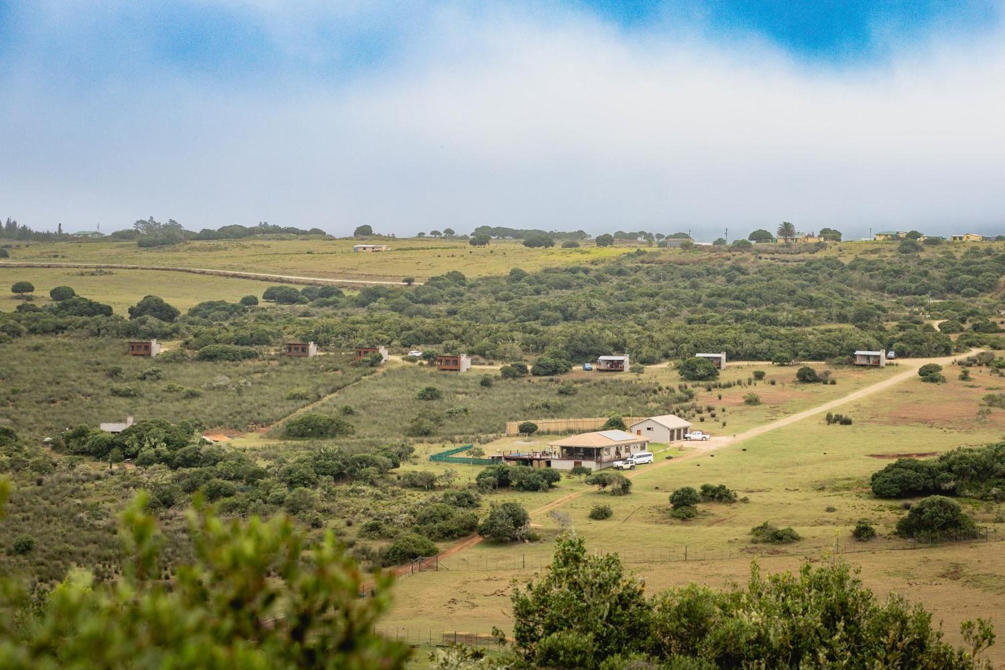 Baardbos Private Game Reserve Lägenhet Stilbaai Exteriör bild